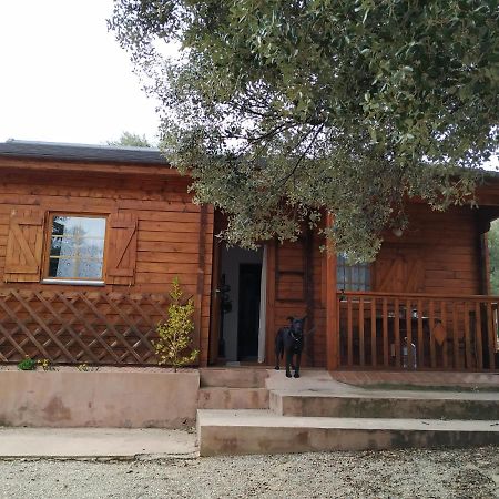 La Casa Del Estanque Olocau del Rey Exterior foto