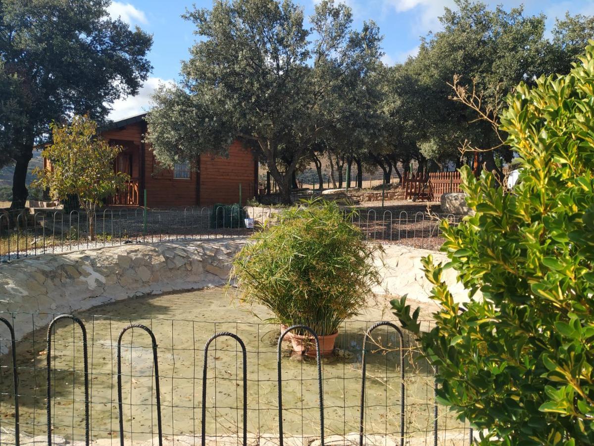 La Casa Del Estanque Olocau del Rey Exterior foto